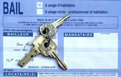 bail location immobilier