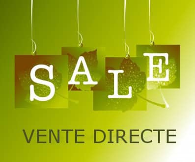 Blog Page 265 sur 289 JURISTIQUE