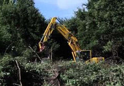 Défiscalisation travaux forestiers2018 - loi de finances rectificative 2017 n°1775