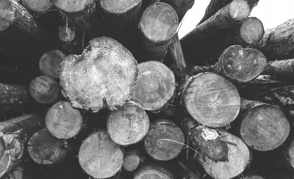 Barème salaires, salaire moyen et salaire minimum de l’industrie du bois 2019 - Ouvriers