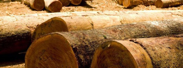 Grille des salaires 2019 importation du bois