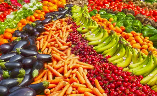 Grille des salaires 2019 des coopératives de fruits et légumes