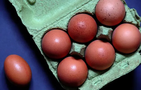 Grille des salaires de l’industrie des œufs 2020
