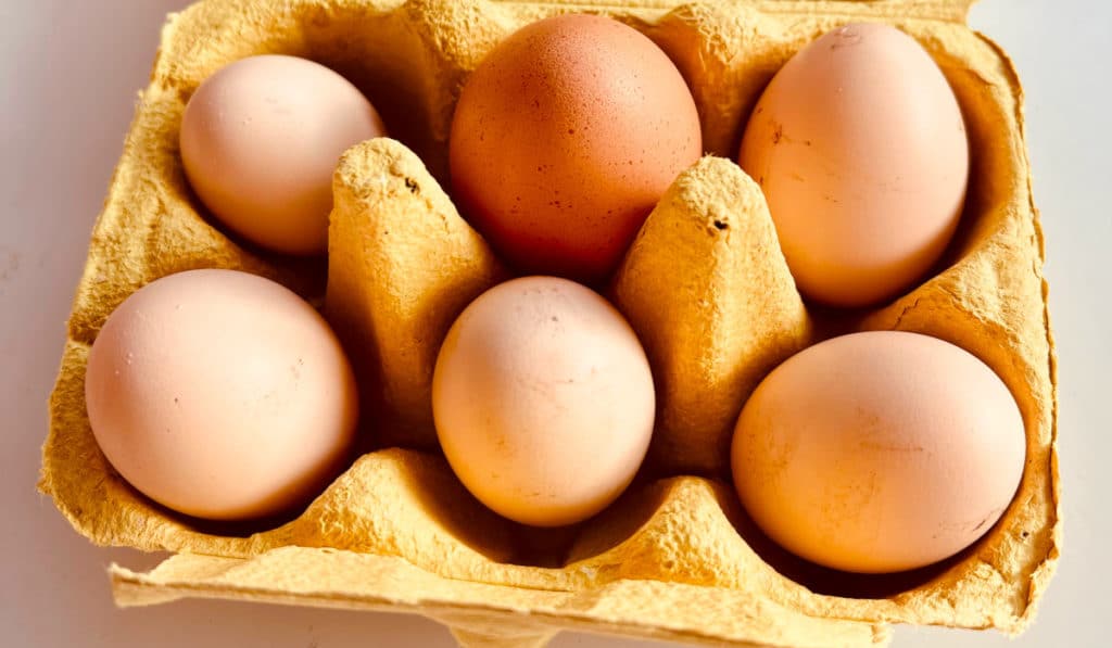 Grille des salaires 2022 de l’industrie des œufs