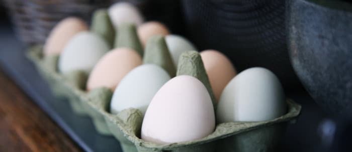 Rémunérations minimales 2022 des industries en produits d'œufs