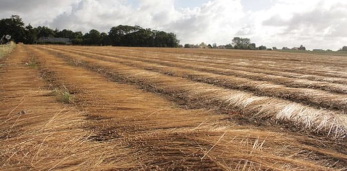 Rémunérations minimales 2022 du rouissage-teillage de lin