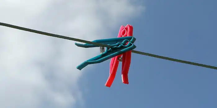 Formulaire officiel pour l'embauche d'un employé familial étranger