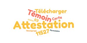 Cerfa 11527*03 : formulaire d'attestation de témoin en justice