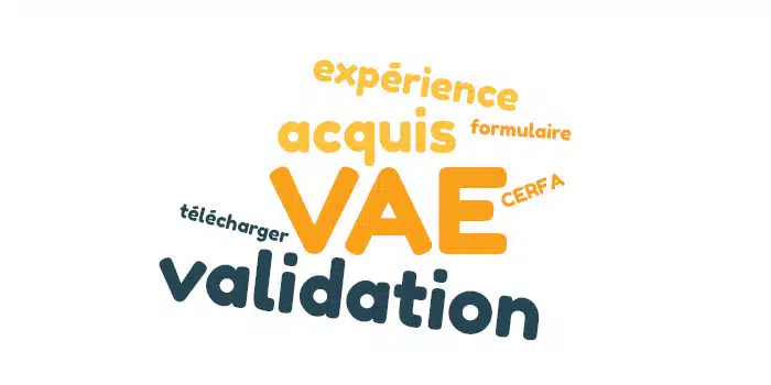 Formulaire officiel de validation des acquis de l'expérience (VAE)
