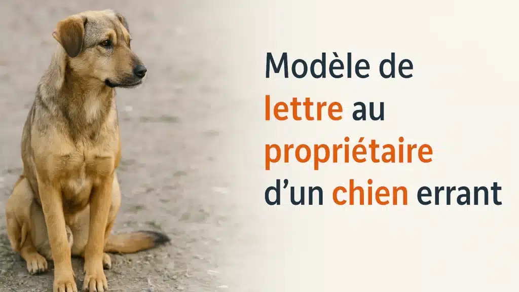 Modèle de lettre au propriétaire d’un chien errant gratuite
