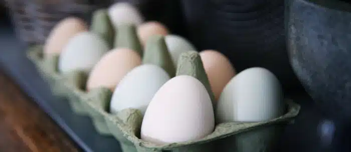 Rémunérations minimales 2023 des industries en produits d'œufs