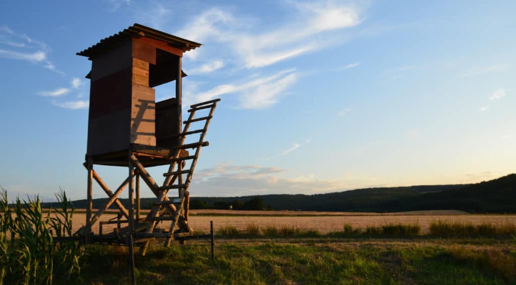 Grille des salaires 2024 des associations associatives cynégétiques