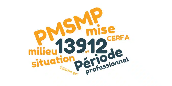 Formulaire officiel de mise en situation en milieu professionnel (PMSMP)
