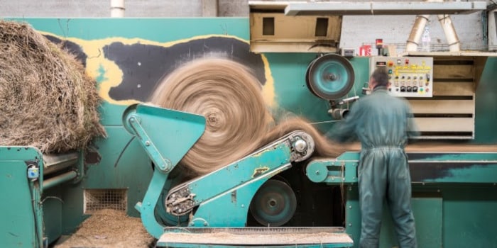 Rémunérations minimales des coopératives agricoles de teillage du lin en 2024