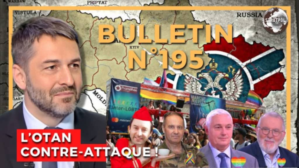 Bulletin n° 195 de Stratpol