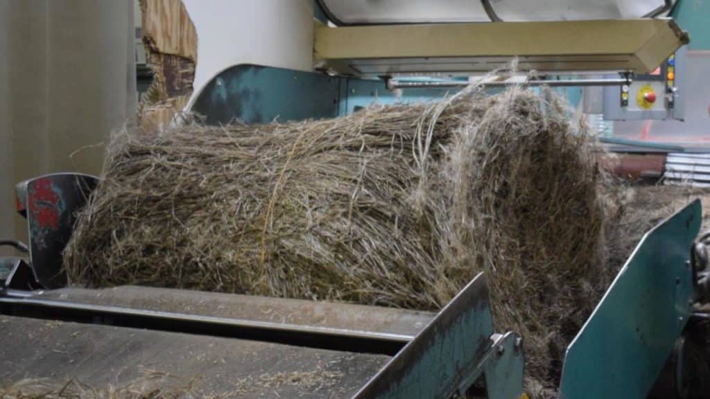 Grille des salaires 2024 des coopératives agricoles de teillage du lin