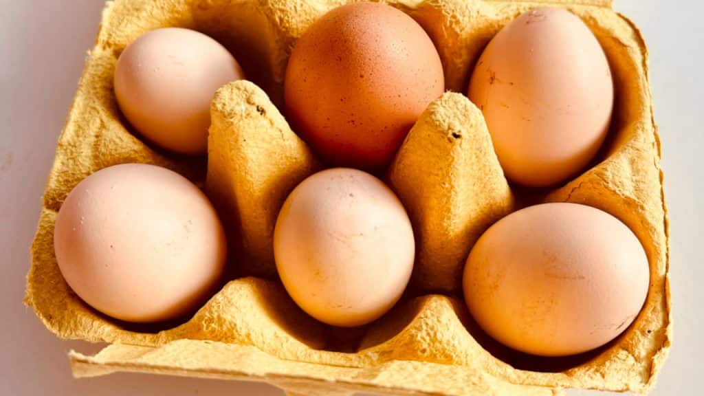 Barème salaires, salaire moyen et salaire minimum de l’industrie des œufs en 2025