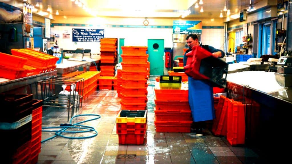 Barème salaires, salaire moyen et salaire minimum des mareyeurs-expéditeurs en 2025