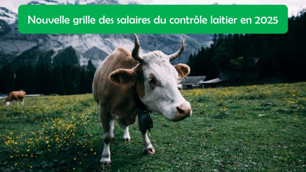 Grille des salaires 2025 du contrôle laitier