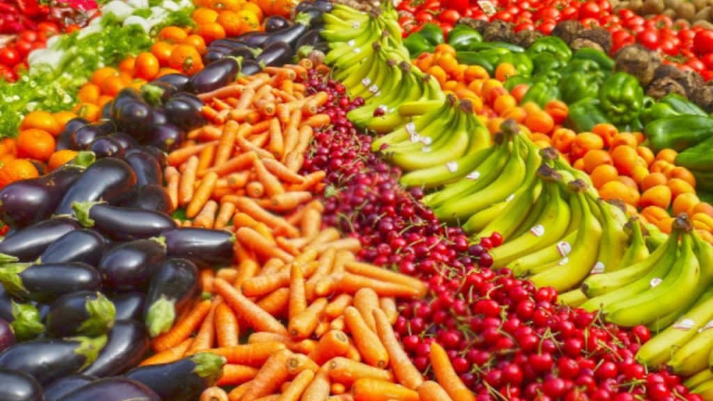 Barème salaires, salaire moyen et salaire minimum des coopératives de fruits et légumes en 2025