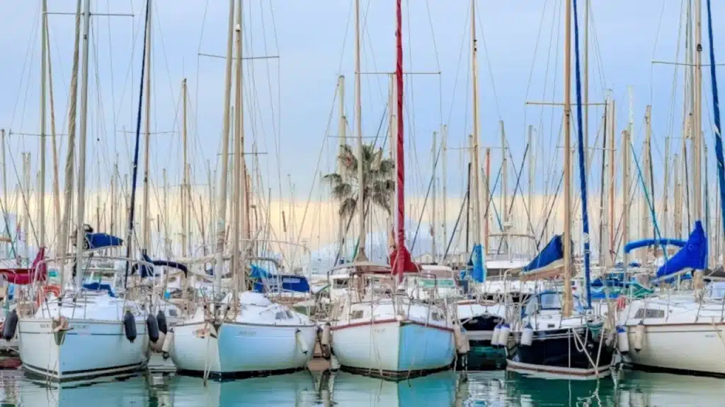 Barème salaires, salaire moyen et salaire minimum des ports de plaisance en 2025