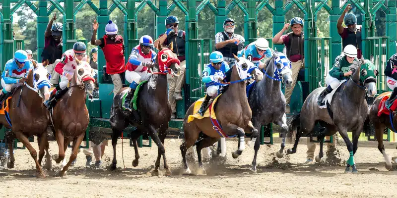 Rémunérations minimales des personnels des activités hippiques en 2025