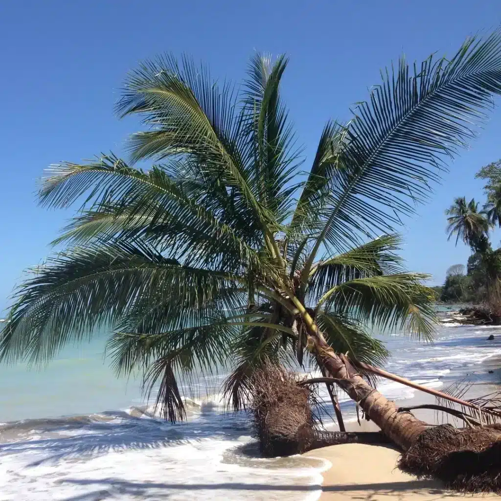 Un évènement unique autour du Bitcoin et de la souveraineté