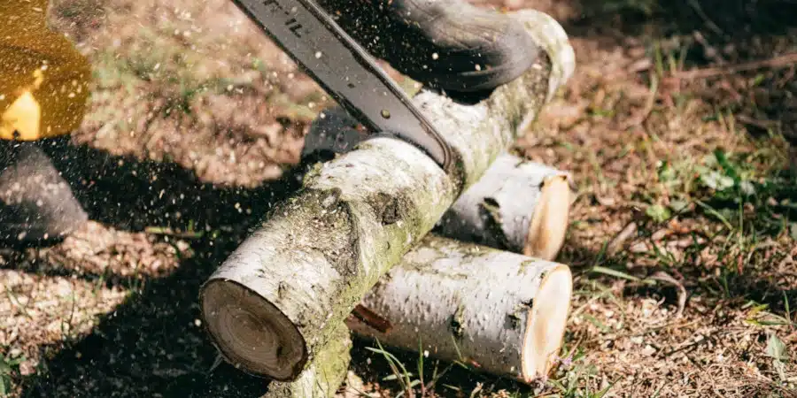 Rémunérations minimales des travaux et services agricoles, ruraux et forestiers en 2026