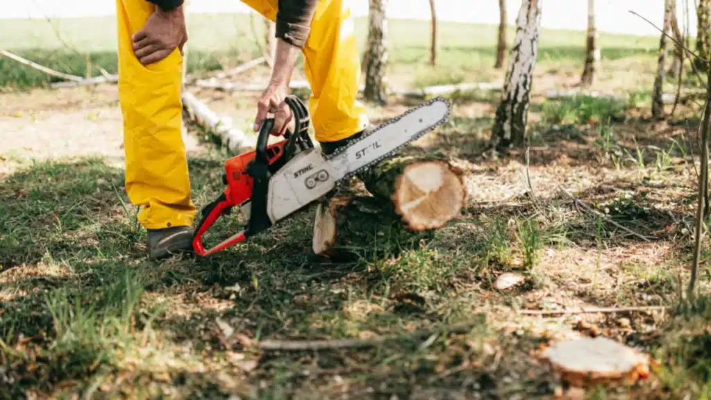 Grille des salaires 2026 des travaux et services agricoles, ruraux et forestiers